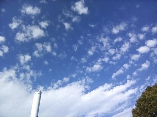 IMG_20181007_082648.jpg